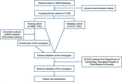 A Novel Clinical Nomogram for Predicting Cancer-Specific Survival in Adult Patients After Primary Surgery for Epithelial Ovarian Cancer: A Real-World Analysis Based on the Surveillance, Epidemiology, and End Results Database and External Validation in a Tertiary Center